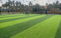الاستثمار الرياضي يضيّق المساحات المجانية والشباب وذوو الدخل المحدود خارج الملاعب
