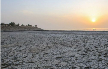 {الجيش الأخضر}.. مبادرة تطوعية لمواجهة التصحّر