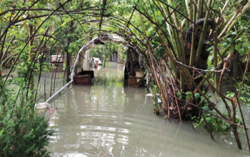 السيول تُكبّد مزارعي ديالى خسائر فادحة  