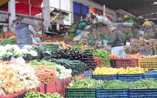الزراعة العراقية.. بين هيمنة المستورد وانكسار المحلي